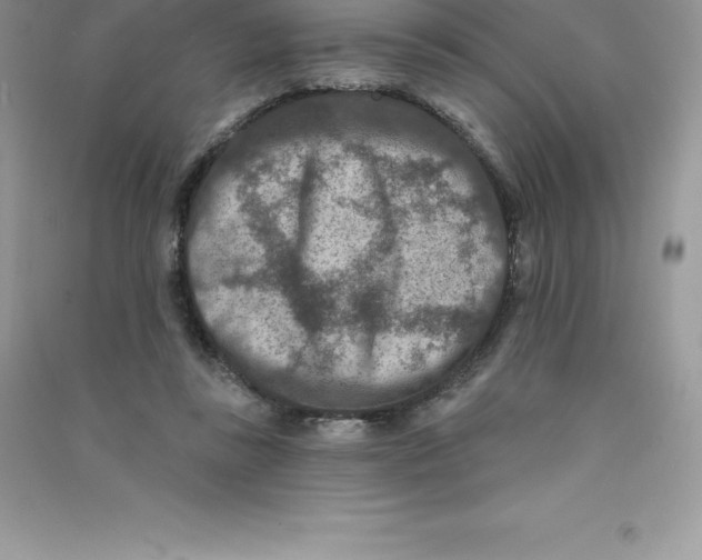 X0000090730355200708171952