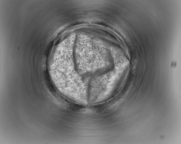 X0000090730356200708171952