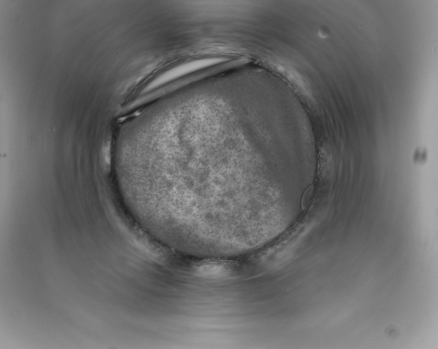 X0000090730358200708171952