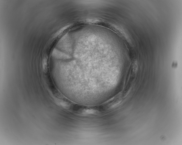 X0000090730360200708171952