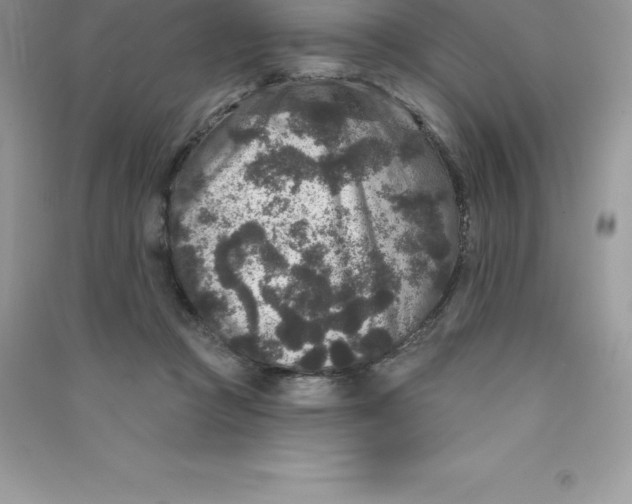 X0000090730361200708171952