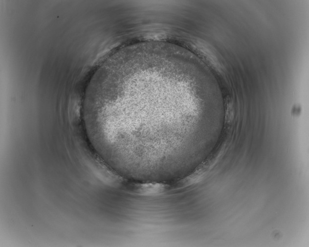 X0000090730363200708171952