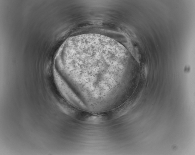 X0000090730364200708171952