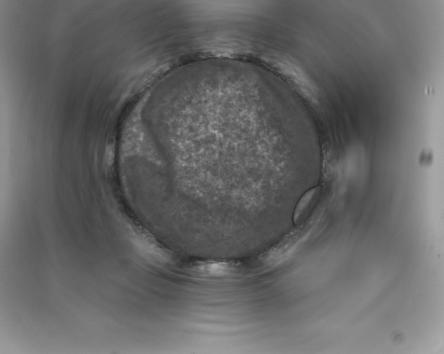 X0000090730365200708171952