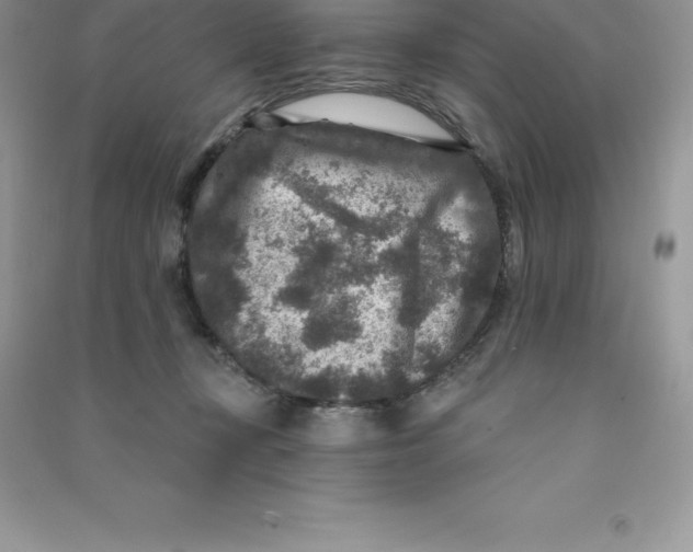 X0000090730367200708171952