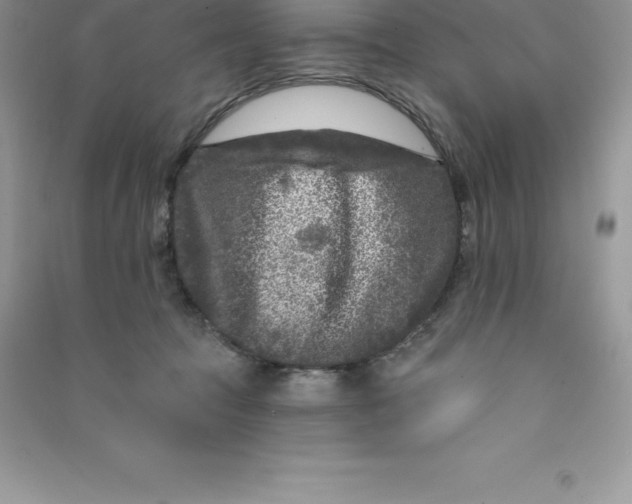 X0000090730369200708171952