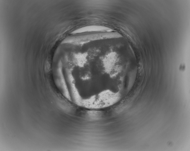 X0000090730371200708171952