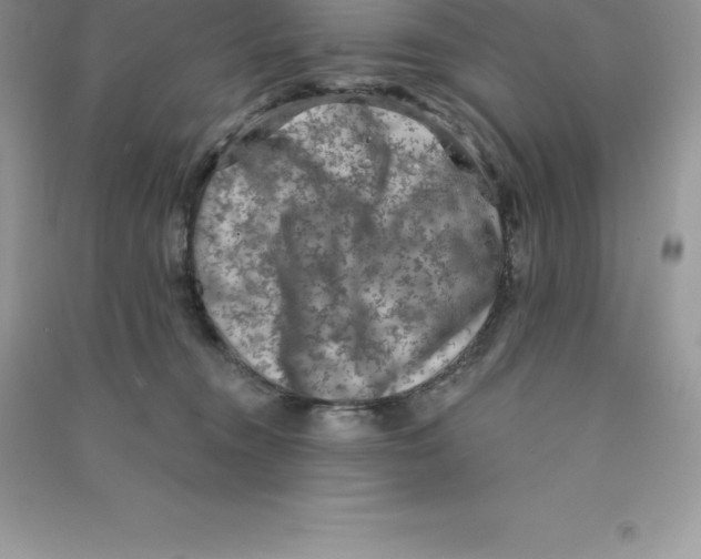 X0000090730372200708171952