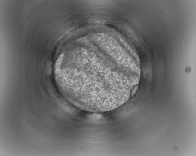 X0000090730374200708171952