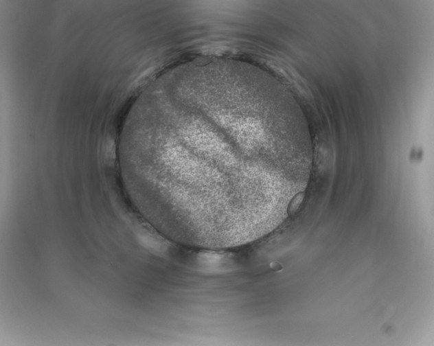 X0000090730375200708171952