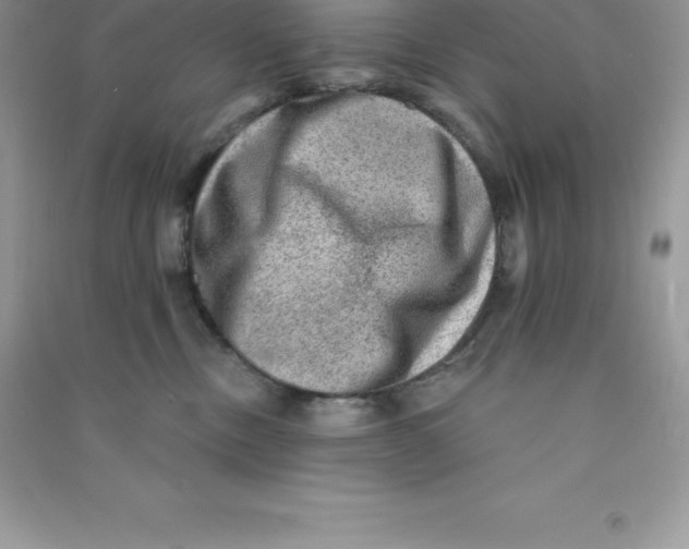 X0000090730378200708171952