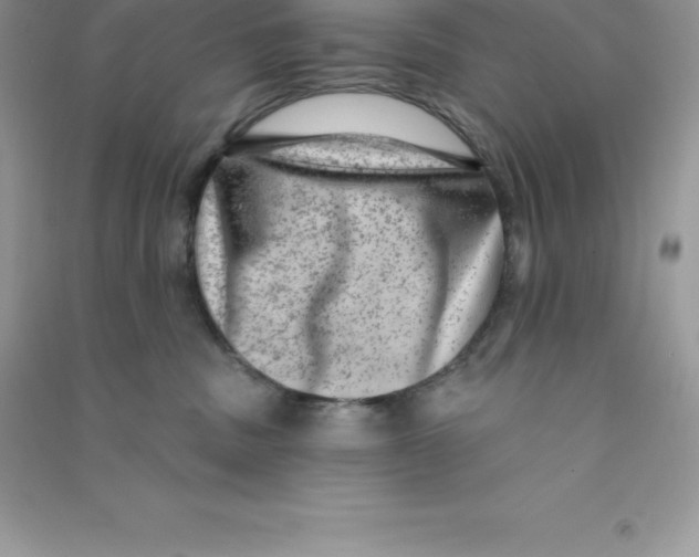 X0000090730379200708171952