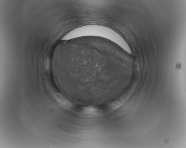 X0000090730380200708171952