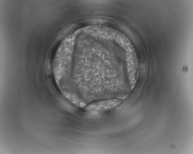 X0000090730381200708171952