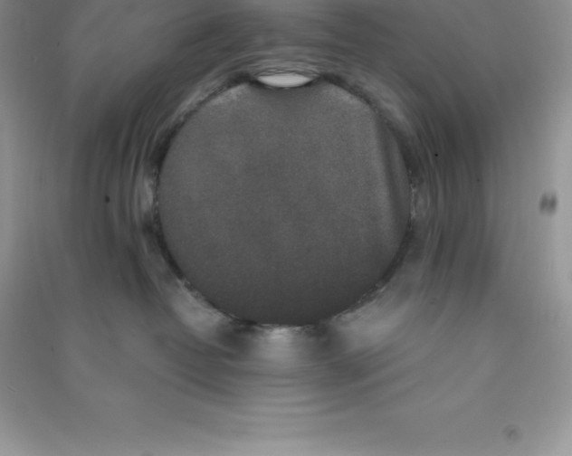 X0000090730382200708171952