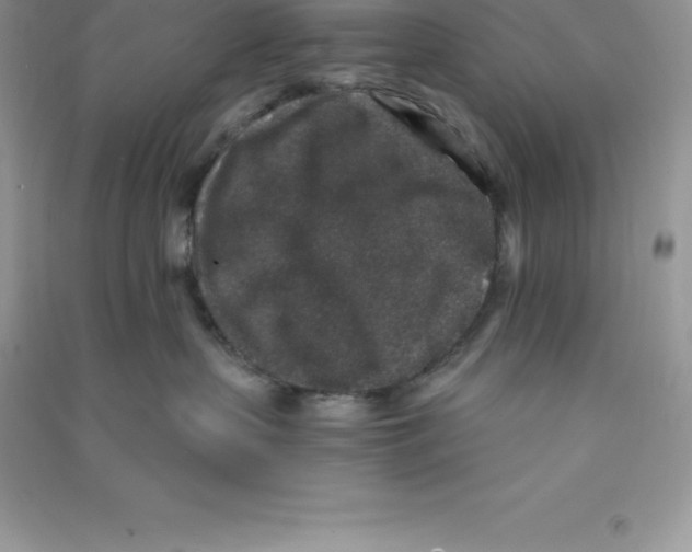 X0000090730383200708171952