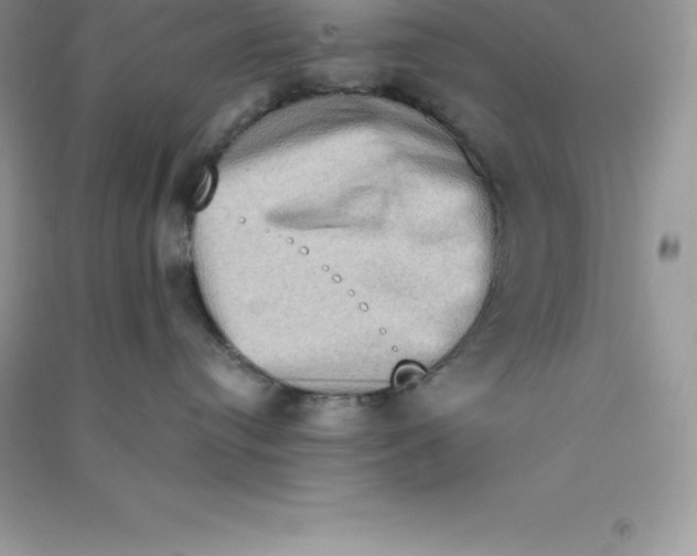 X0000090730384200708171952