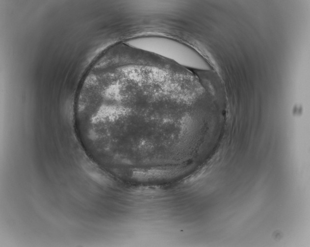 X0000090730386200708171951