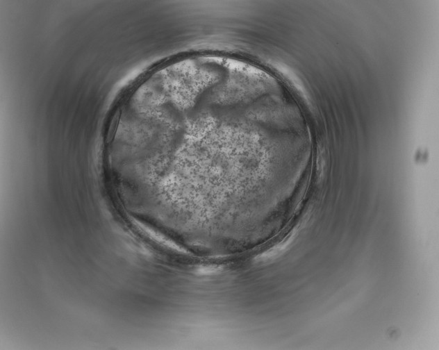 X0000090730388200708171951