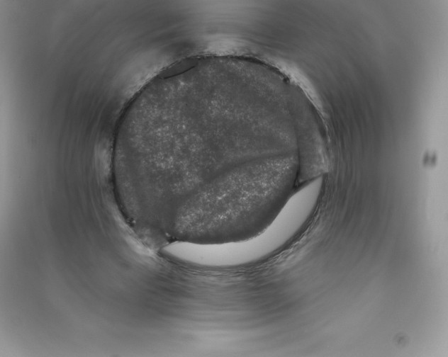 X0000090730393200708171951