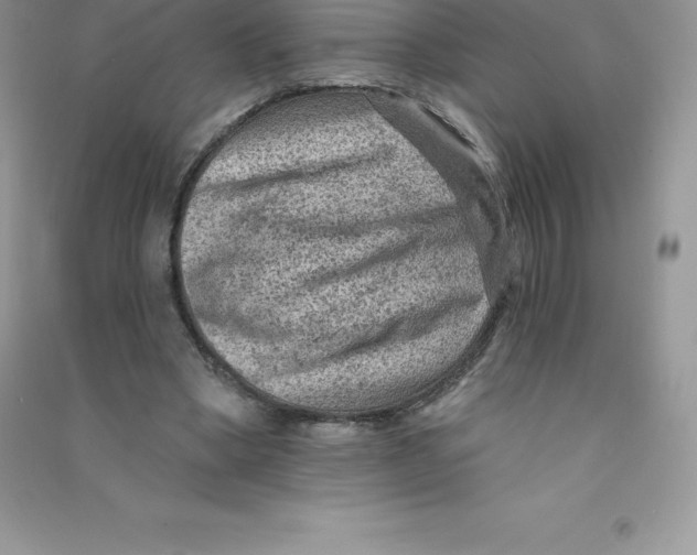 X0000090730394200708171951