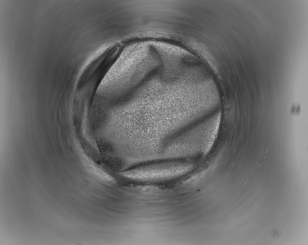 X0000090730395200708171951