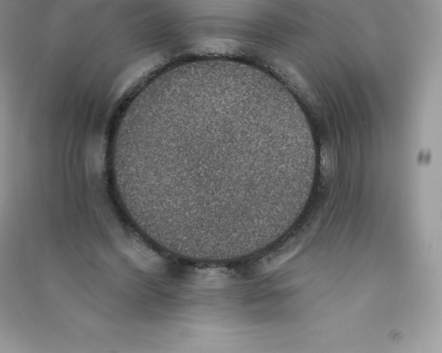 X0000090730396200708171951