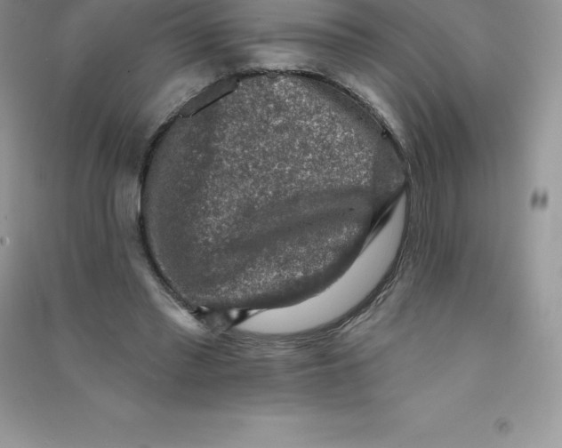 X0000090730397200708171951