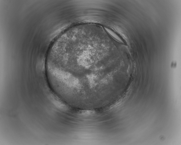 X0000090730398200708171951