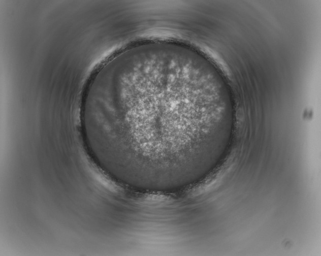 X0000090730399200708171951