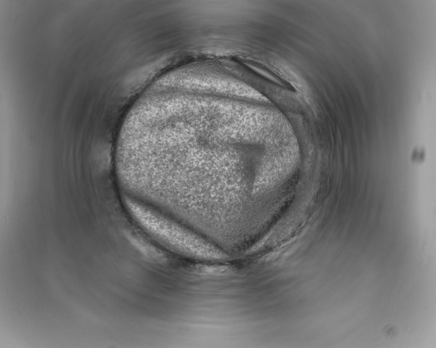 X0000090730401200708171951