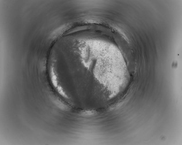 X0000090730402200708171951