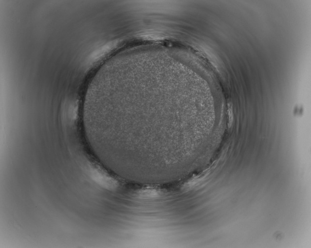 X0000090730404200708171951