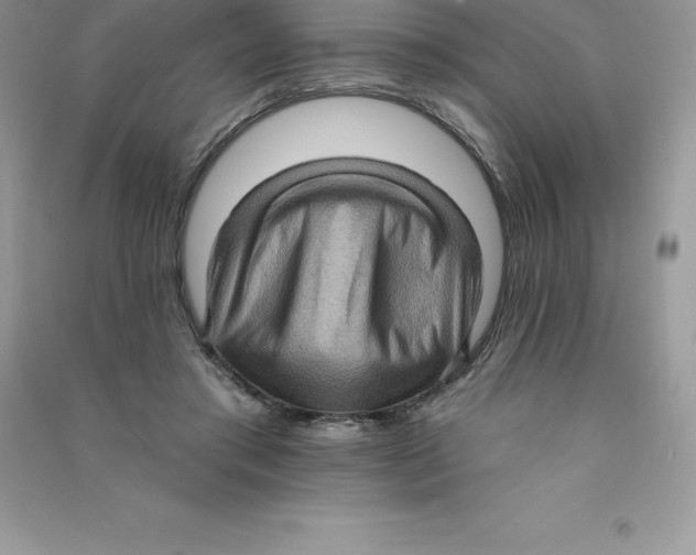 X0000090730405200708171951