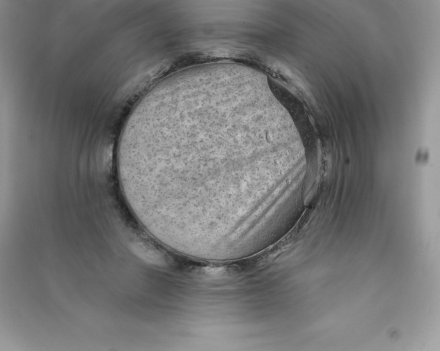 X0000090730406200708171951