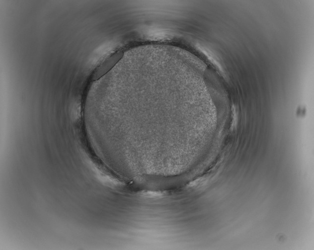 X0000090730407200708171951