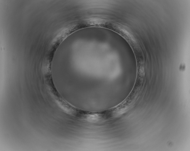 X0000090730411200708171951