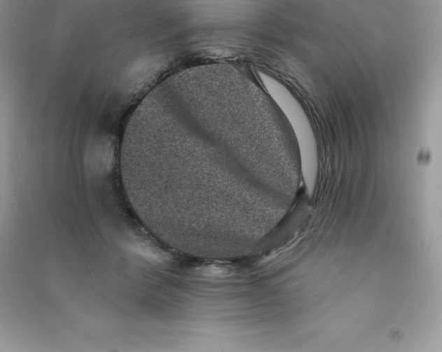 X0000090730412200708171951