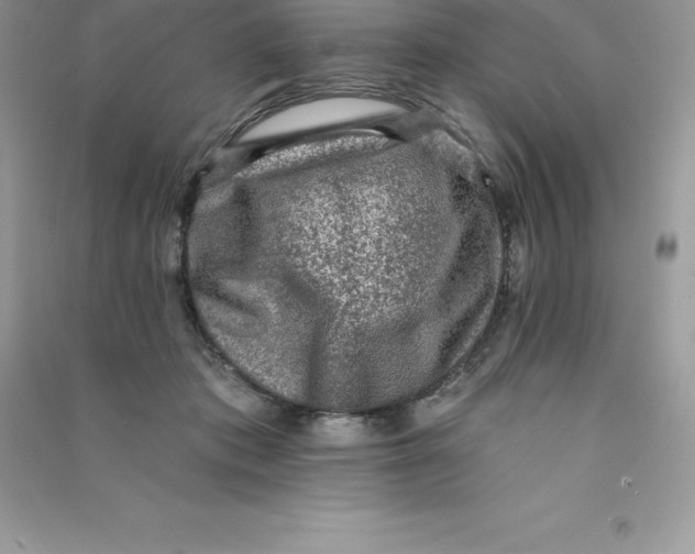 X0000090730413200708171951