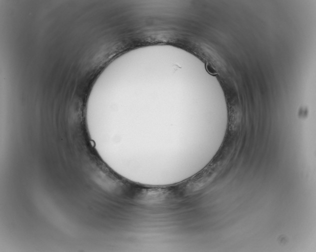 X0000090730414200708171951