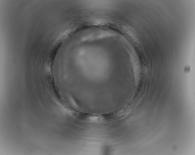 X0000090730415200708171951