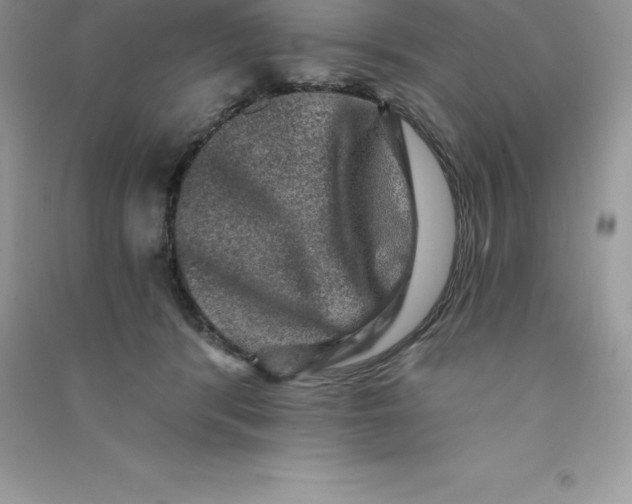 X0000090730416200708171951