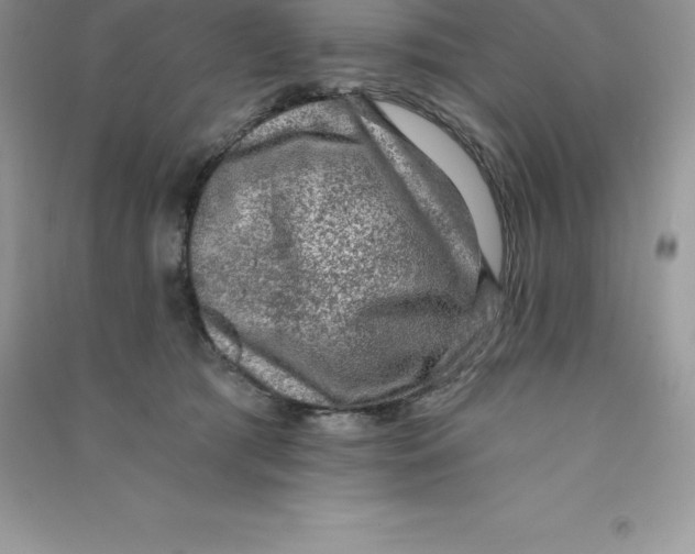 X0000090730417200708171951