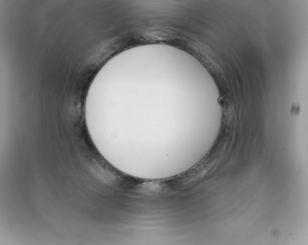 X0000090730418200708171951