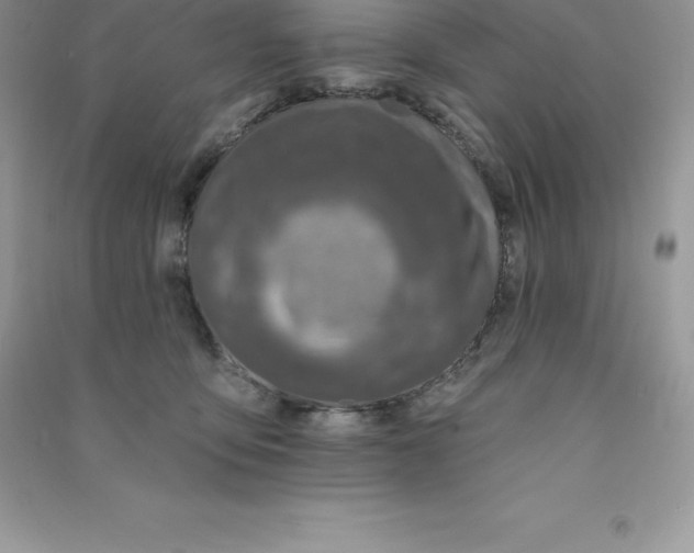 X0000090730419200708171951