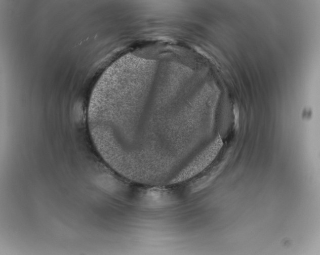 X0000090730420200708171951