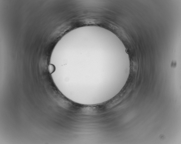 X0000090730422200708171951