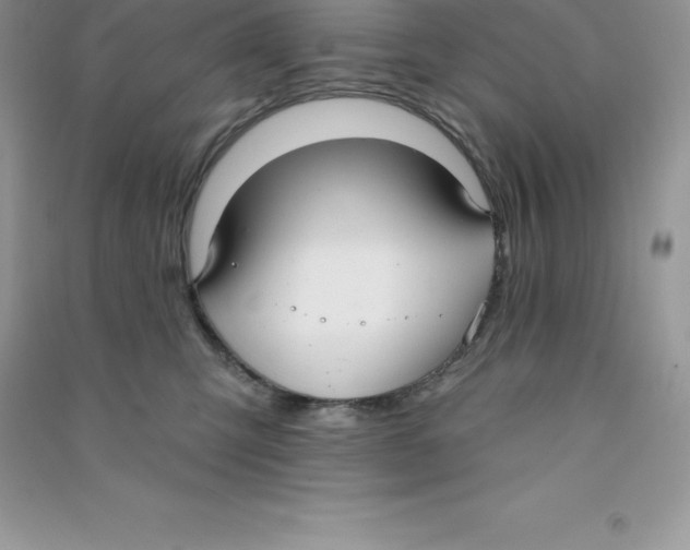 X0000090730423200708171951