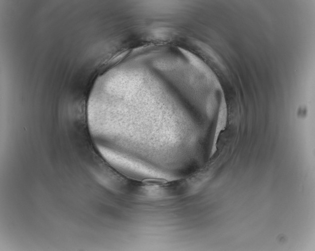 X0000090730425200708171951