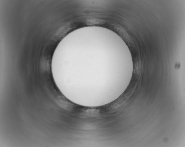 X0000090730426200708171951